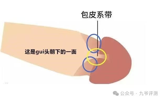 享久喷剂为何开始有效，后来效果减弱？全面解析使用误区与解决方案